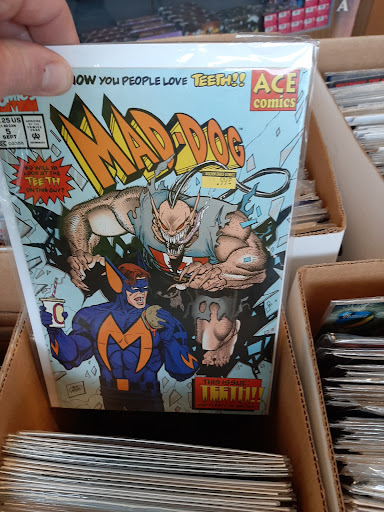 Comic Book Store «Golden Eagle», reviews and photos, 3050 N 5th Street Hwy C11, Reading, PA 19605, USA