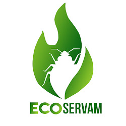 Ecoservamexpress
