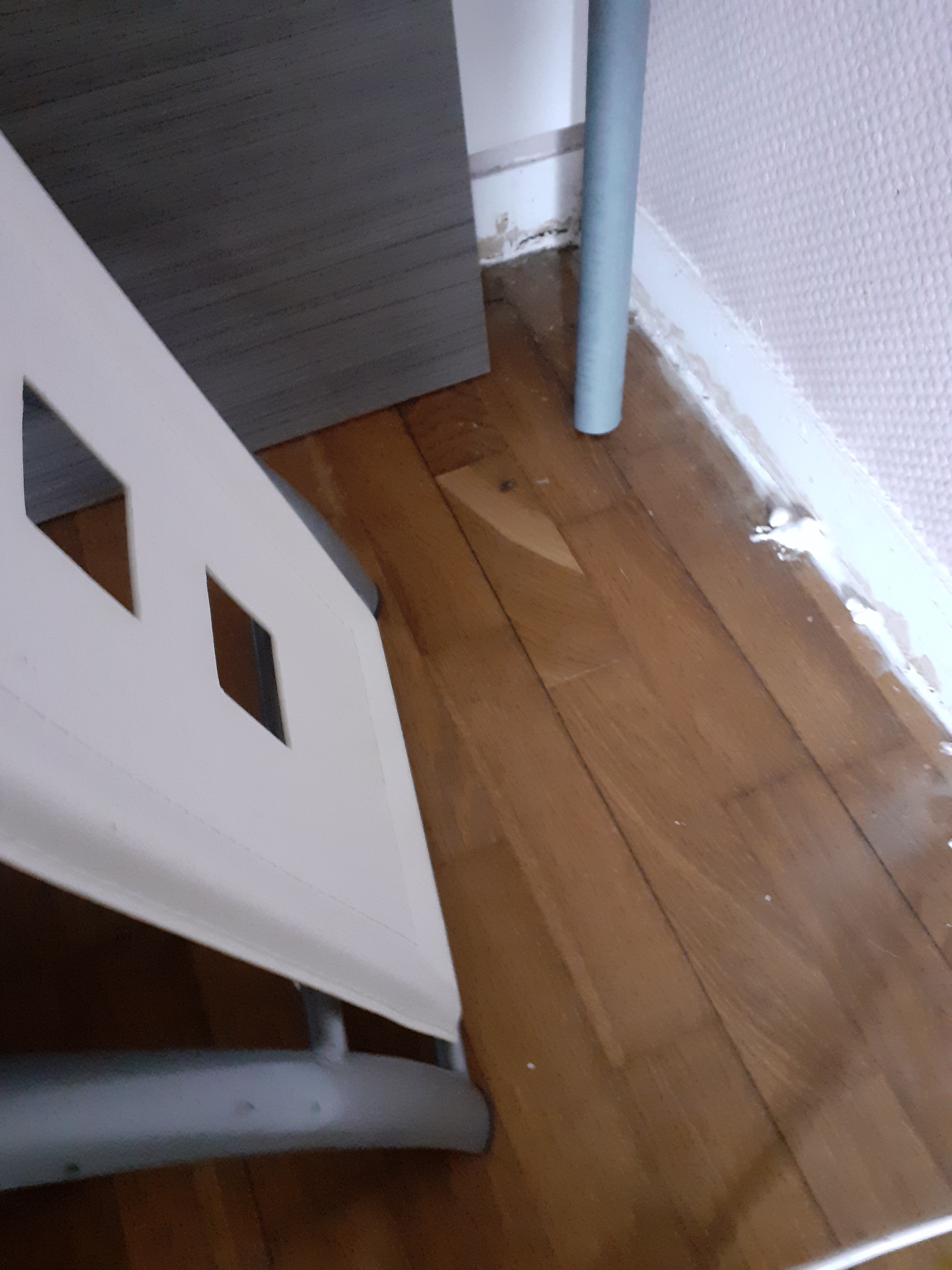 Photo n° 4 de l'avis de Miraak5215.T fait le 11/03/2022 à 18:09