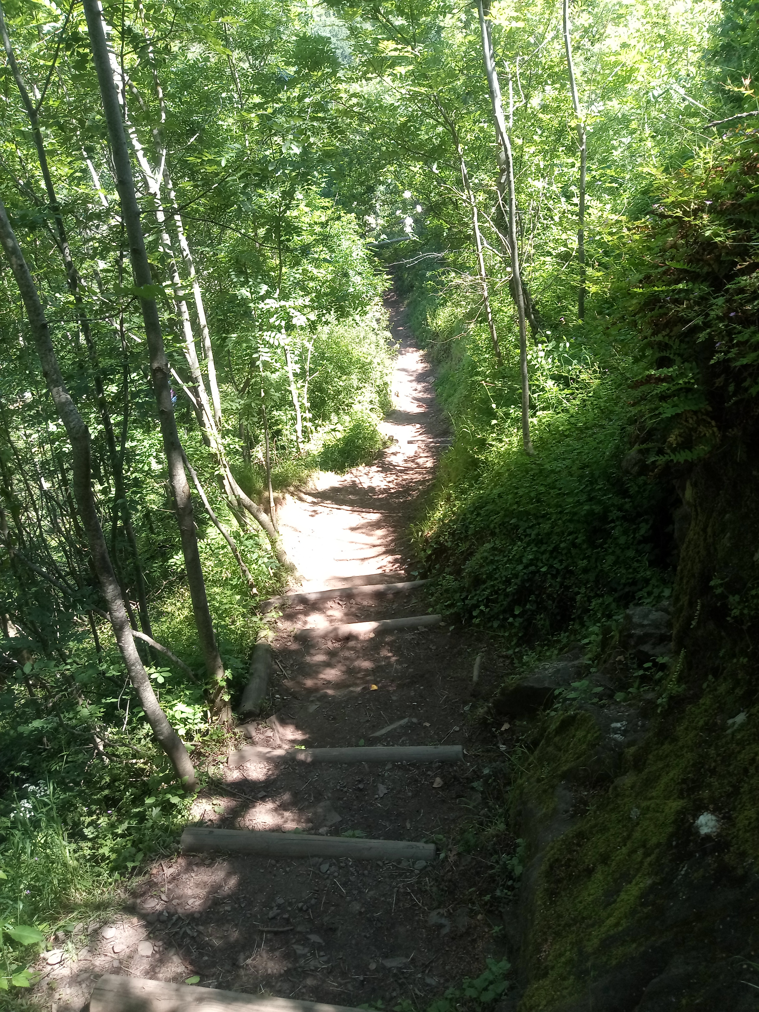 Photo n° 8 de l'avis de Bilbon.A fait le 22/05/2020 à 14:33