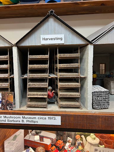 Gift Shop «The Mushroom Cap», reviews and photos, 114 W State St, Kennett Square, PA 19348, USA