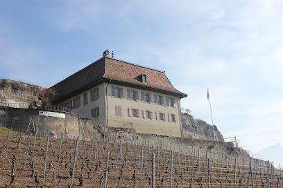 Vignoble de l'état de Fribourg