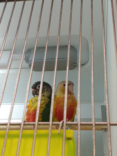 Pet Supply Store «Pet Supplies Plus», reviews and photos, 14839 Detroit Ave, Lakewood, OH 44107, USA