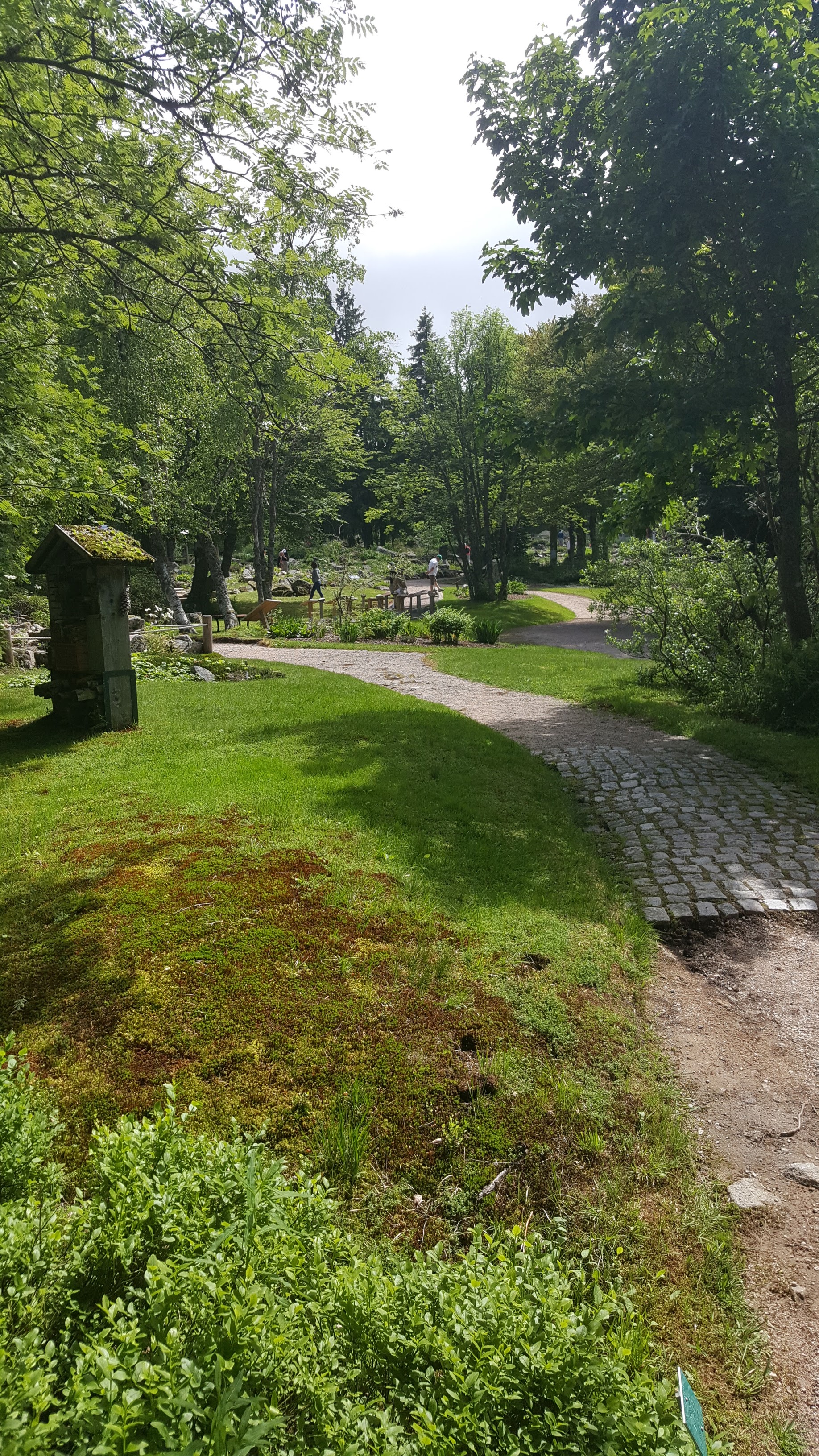 Photo n° 23 de l'avis de Jean-Sébastien.O fait le 23/06/2019 à 16:49