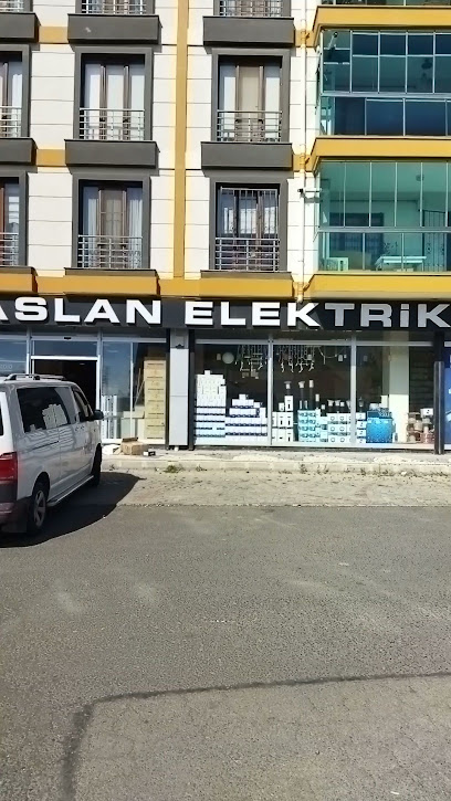 Aslan Elektrik