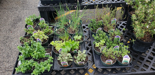 Hardware Store «J-town Hardware and Rental», reviews and photos, 10513 Watterson Trail, Jeffersontown, KY 40299, USA