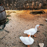 Photo n°2 de l'avis de Marina.' fait le 20/08/2021 à 14:50 sur le  Farmhouse Il Petraro à Modugno