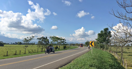 Concesión Vial de los Llanos S.A.S.