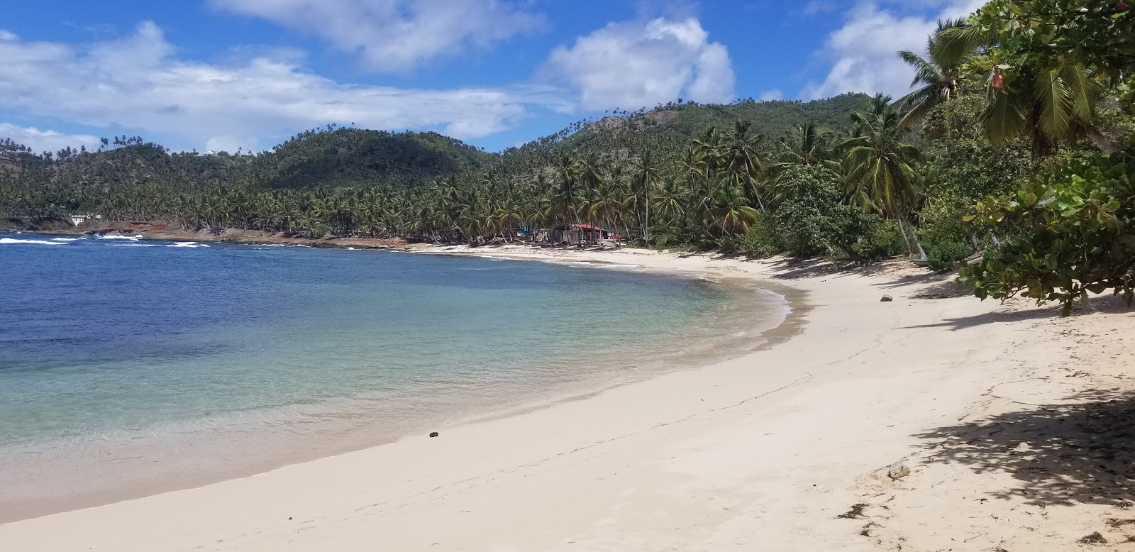 Φωτογραφία του Samana Beach με λεπτή μπεζ άμμος επιφάνεια