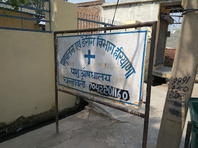 Animal Hospital - Faridabad, Haryana, IN - Zaubee