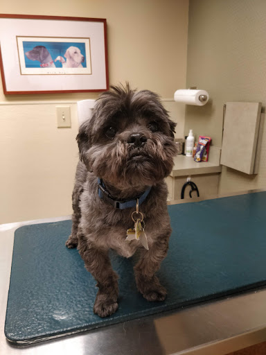 Cincinnati Animal Medical Center image