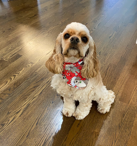 552 Buford Dr NE, Lawrenceville, GA 30046, USA