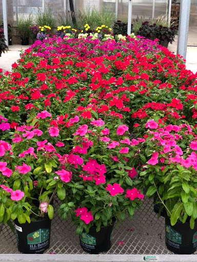 Garden Center «H J Benken Florist & Garden», reviews and photos, 6000 Plainfield Rd, Cincinnati, OH 45213, USA