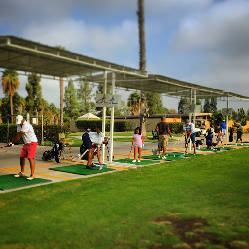 GOLF LESSONS AND SWING ANALYSIS image