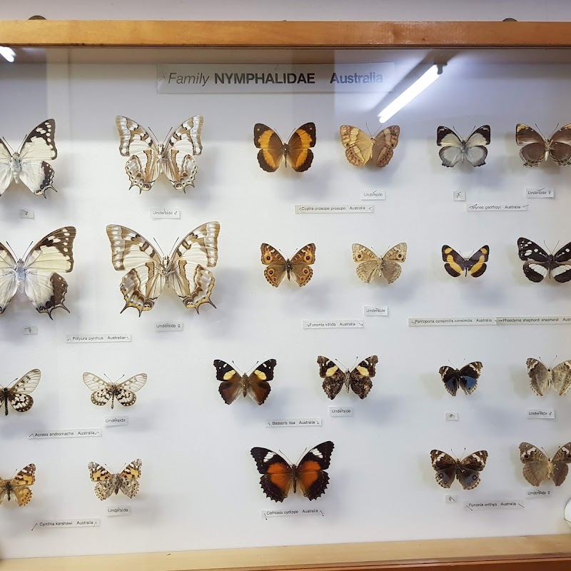 Butterfly Farm & Ski Garden