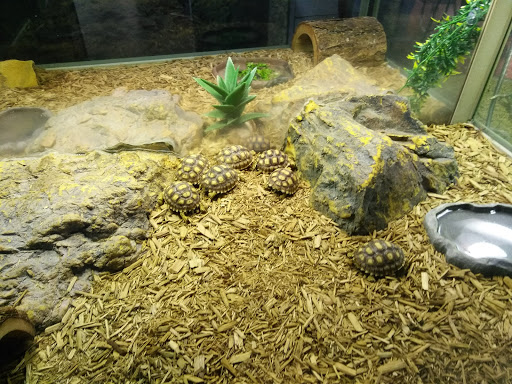 Pet Store «Incredible Pets Inc», reviews and photos, 2255 N Wickham Rd # 102, Melbourne, FL 32935, USA