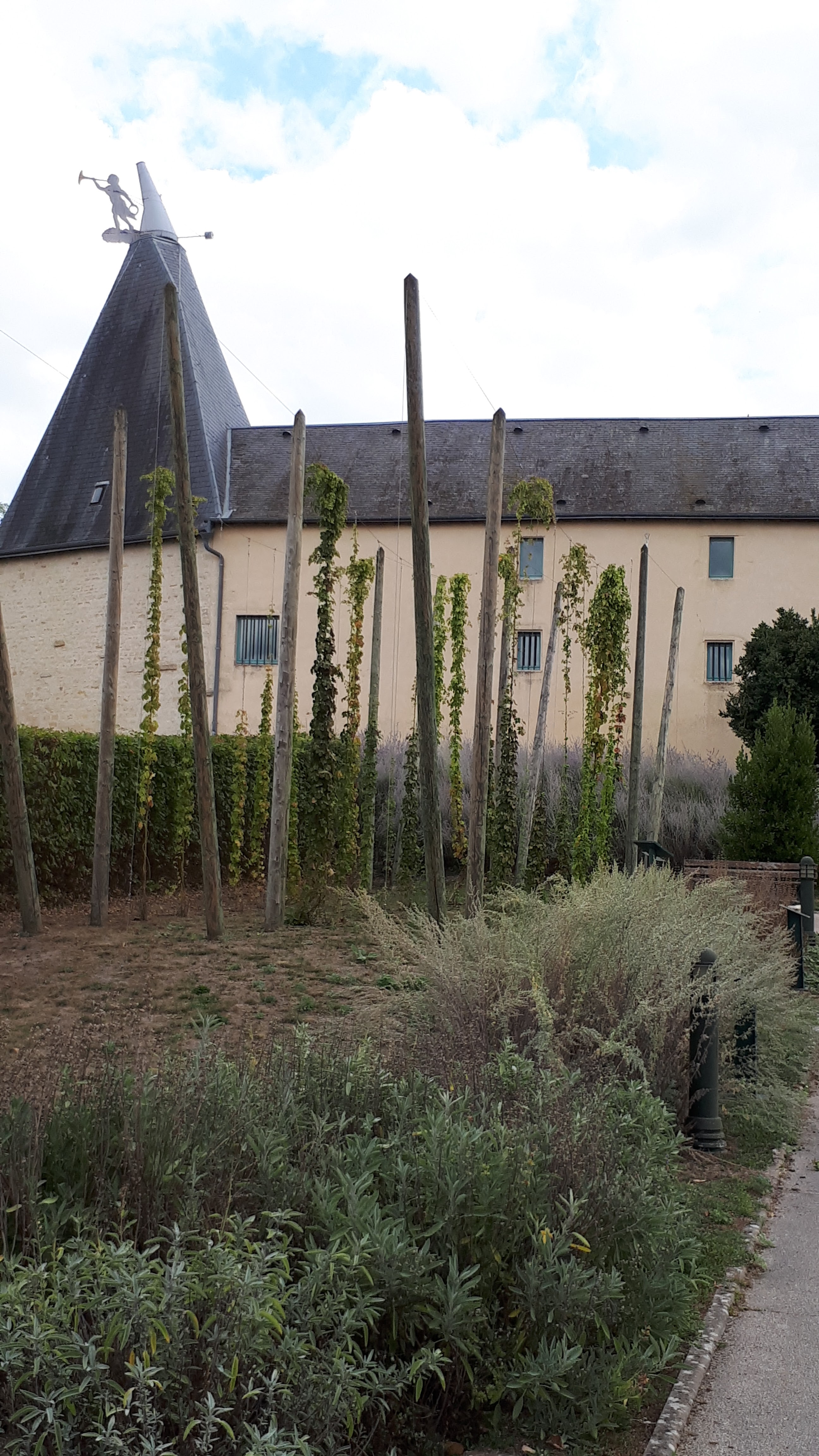 Photo n° 36 de l'avis de Guylaine.u fait le 22/09/2019 à 17:53