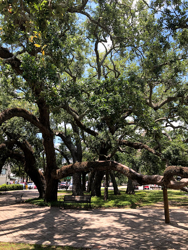 Tourist Attraction «Lighthouse Trolleys», reviews and photos, 559 Magnolia Ave, Saint Simons Island, GA 31522, USA