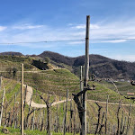 Photo n°15 de l'avis de Nel. fait le 18/10/2022 à 08:26 sur le  Ristorante MaMaGiò e Locanda à Valdobbiadene