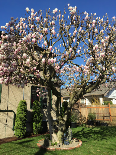 Tattoo Shop «Blue Geisha Tattoo», reviews and photos, 4204 SW Oregon St, Seattle, WA 98116, USA