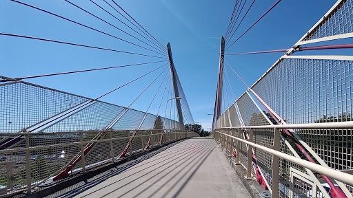 Delta Ponds Pedestrian Bridge