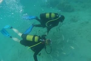 Pelagos Dive Centre image