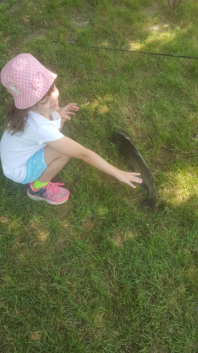 Fishing Store «Indian Creek Fishing & Fire Arms», reviews and photos, 3479 Mango Dr, Danielsville, PA 18038, USA