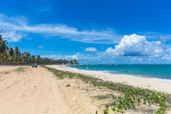 Praia de Maracaipe
