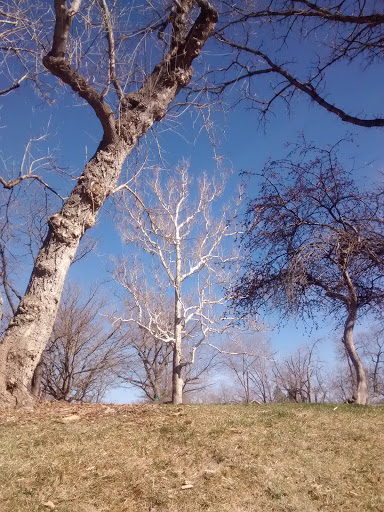 Park «Platt Park Recreation Center», reviews and photos, 1500 S Grant St, Denver, CO 80210, USA