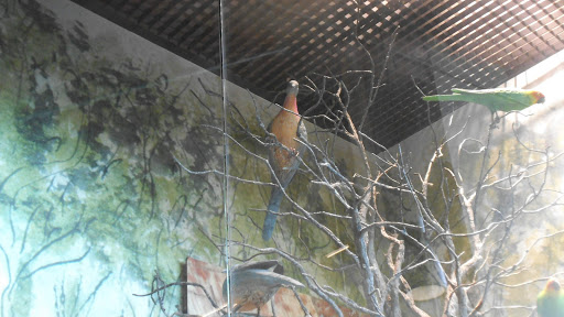 Natural History Museum «The Witt Stephens Jr. Central Arkansas Nature Center», reviews and photos, 602 President Clinton Ave, Little Rock, AR 72201, USA