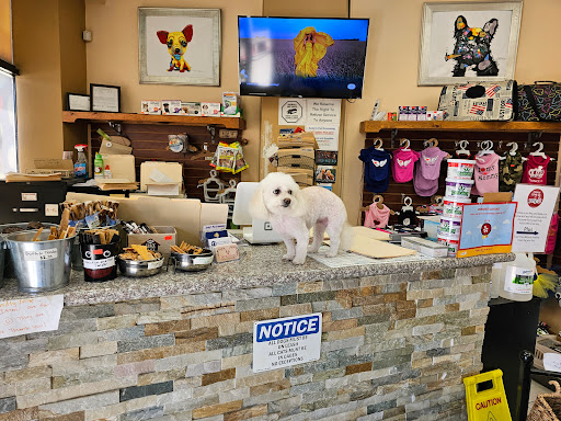 Andy's Pet Grooming & Supplies