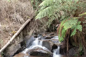 Olinda Falls image