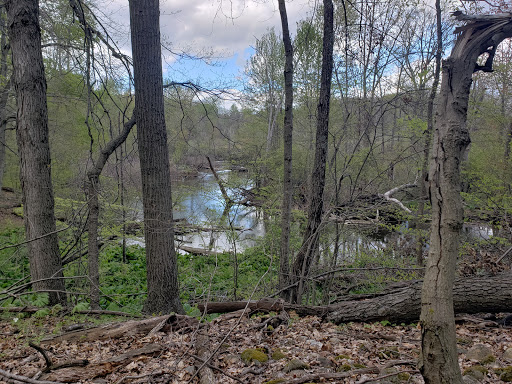 Nature Preserve «Leonard Preserve», reviews and photos, N Union St, Manchester, MI 48158, USA