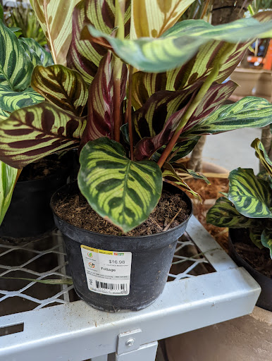 Home Improvement Store «The Home Depot», reviews and photos, 975 S De Anza Blvd, San Jose, CA 95129, USA