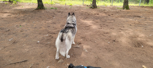 Dog Park «Beverly Dog Park», reviews and photos, L P Henderson Rd, Beverly, MA 01915, USA