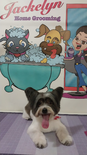 Photo of Jackelyn Home Grooming LLC