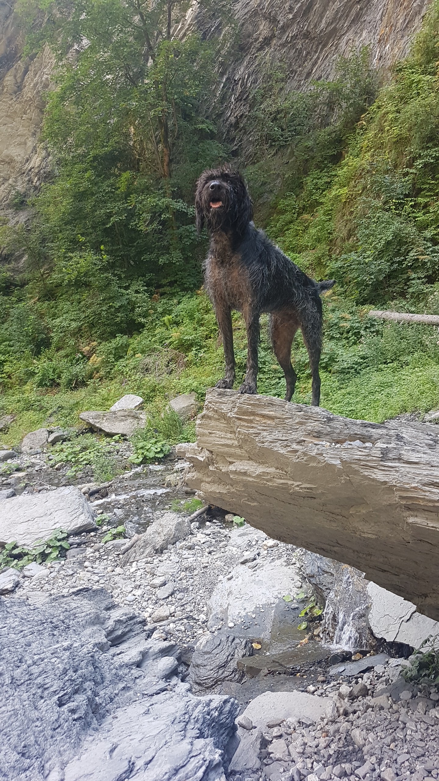 Photo n° 6 de l'avis de Lulu.i fait le 11/08/2020 à 19:05