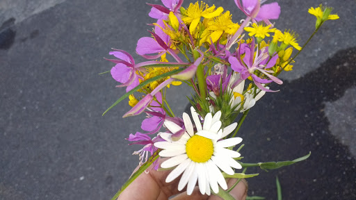 Park «Powell Butte Nature Park», reviews and photos, 16160 SE Powell Blvd, Portland, OR 97236, USA