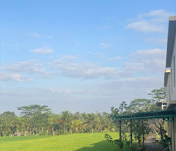 Manyi Village Ubud photo