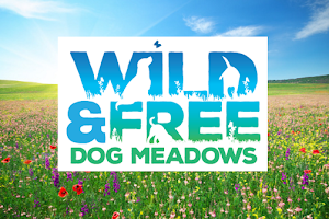 Wild and free Dog Meadows image