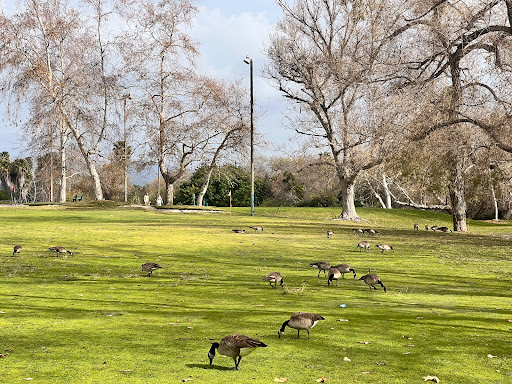 Golf Club «Lake Forest Golf and Practice Center», reviews and photos, 23308 Cherry Ave, Lake Forest, CA 92630, USA