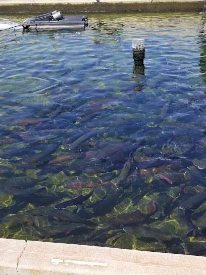 Saskatchewan Fish Hatchery