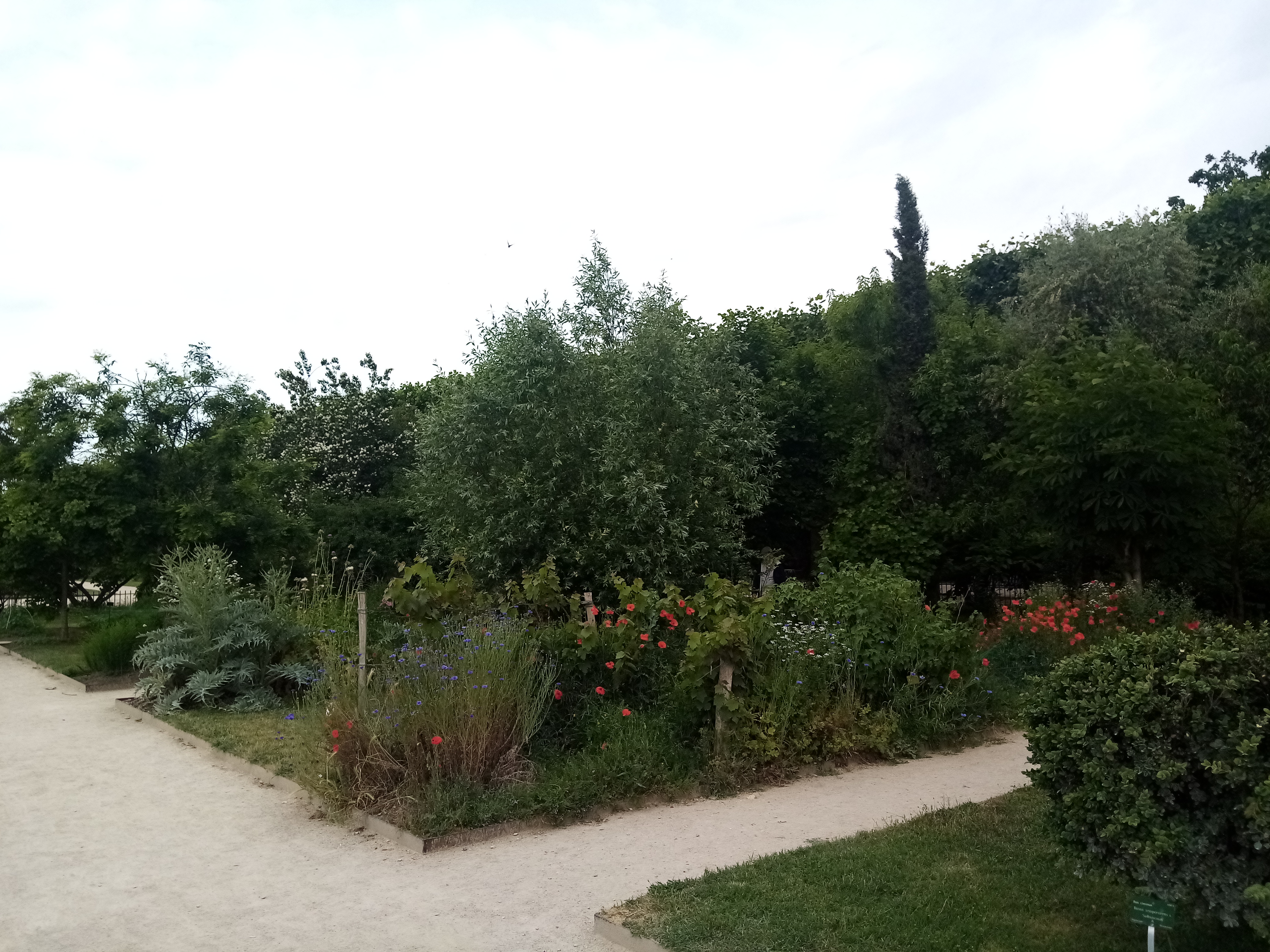 Photo n° 12 de l'avis de Mykola.a fait le 22/05/2022 à 18:49