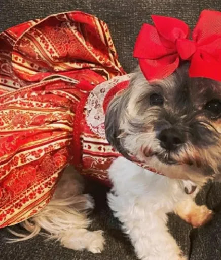 E-commerce Service «Memories By the Yard», reviews and photos, 8015 Mainland Dr, San Antonio, TX 78250, USA