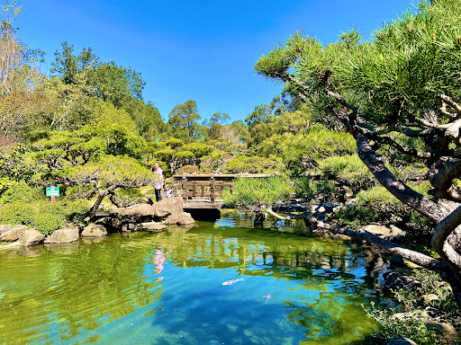 Hayward Japanese Gardens