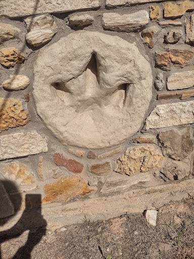 Gift Shop «Stone Hut Fossil Shop», reviews and photos, 1184 FM 205, Glen Rose, TX 76043, USA