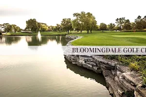 Bloomingdale Golf Club image