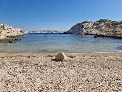 Calanque De La Crine'in fotoğrafı vahşi alan