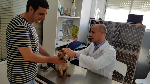 Hospitales y veterinarios de urgencia en Vilafranca del Penedès de 2024