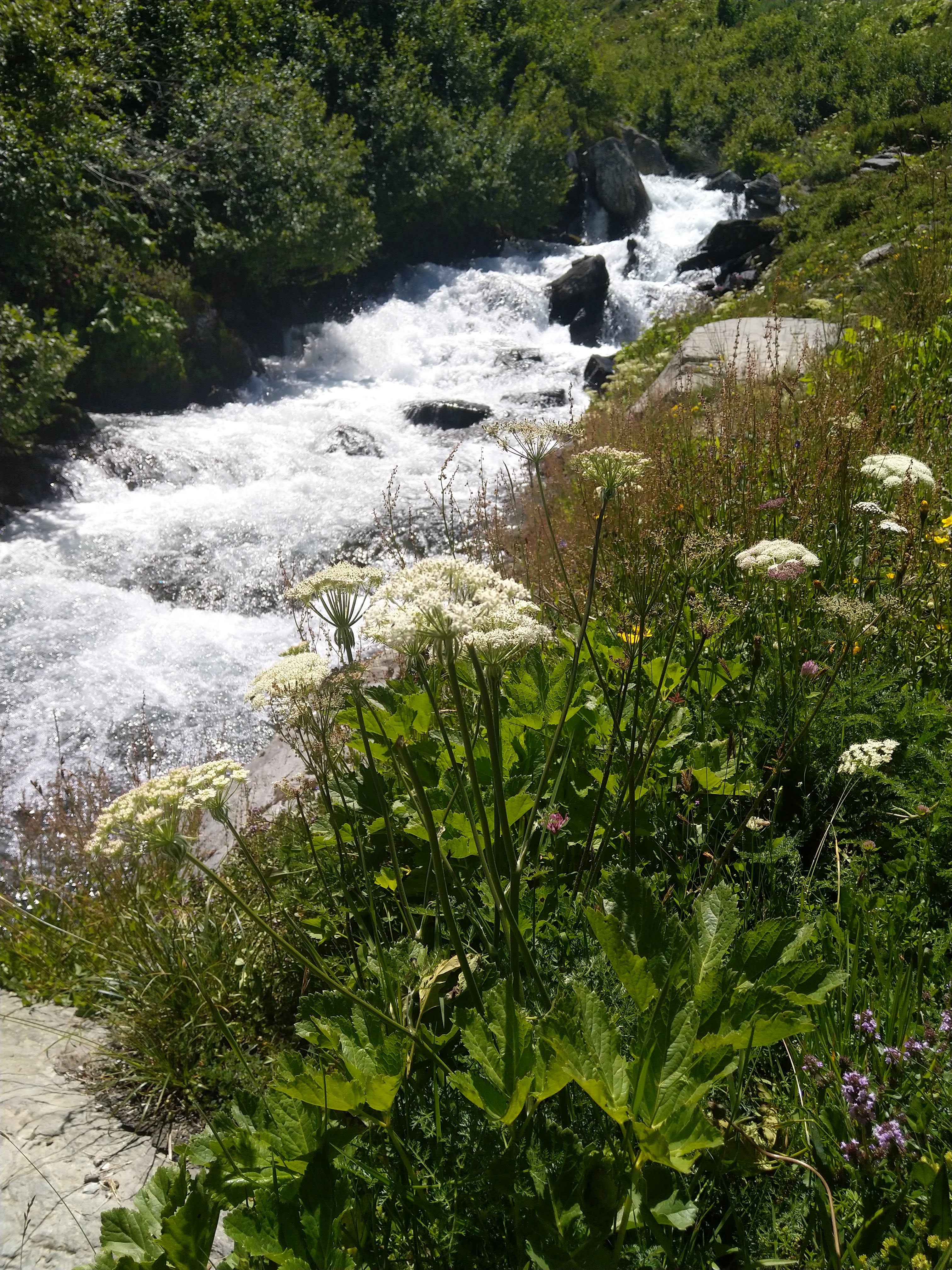 Photo n° 2 de l'avis de sabrina. fait le 16/07/2020 à 16:37